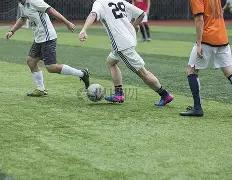 烟台黄渤海,新区举行,红心引航,BBIN真人试玩,BBIN真人游戏平台,BBIN真人视讯,BBIN真人官网