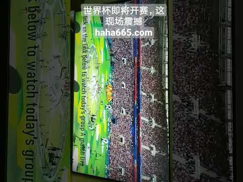 真人游戏平,产品,BBIN真人游戏平台,BBIN真人试玩,BBIN真人游戏平台,BBIN真人视讯,BBIN真人官网