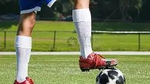 BBIN真人游戏平台