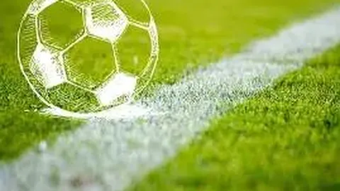 BBIN真人游戏平台 产品 031310 vex