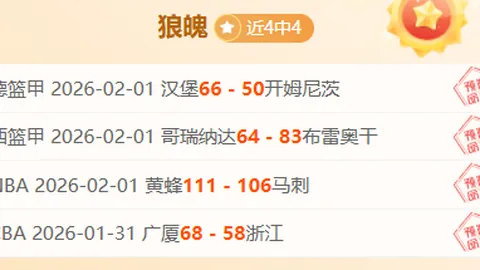 “弗法纳切尔西后卫恢复健康，有望今晚亮相赛场”